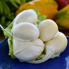 scamorza